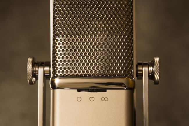 Petrungaro Condenser Microphone thumbnail#2