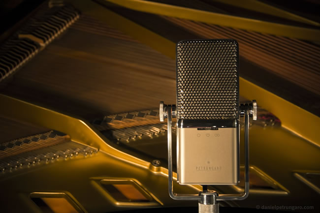 Petrungaro Condenser Microphone thumbnail#6